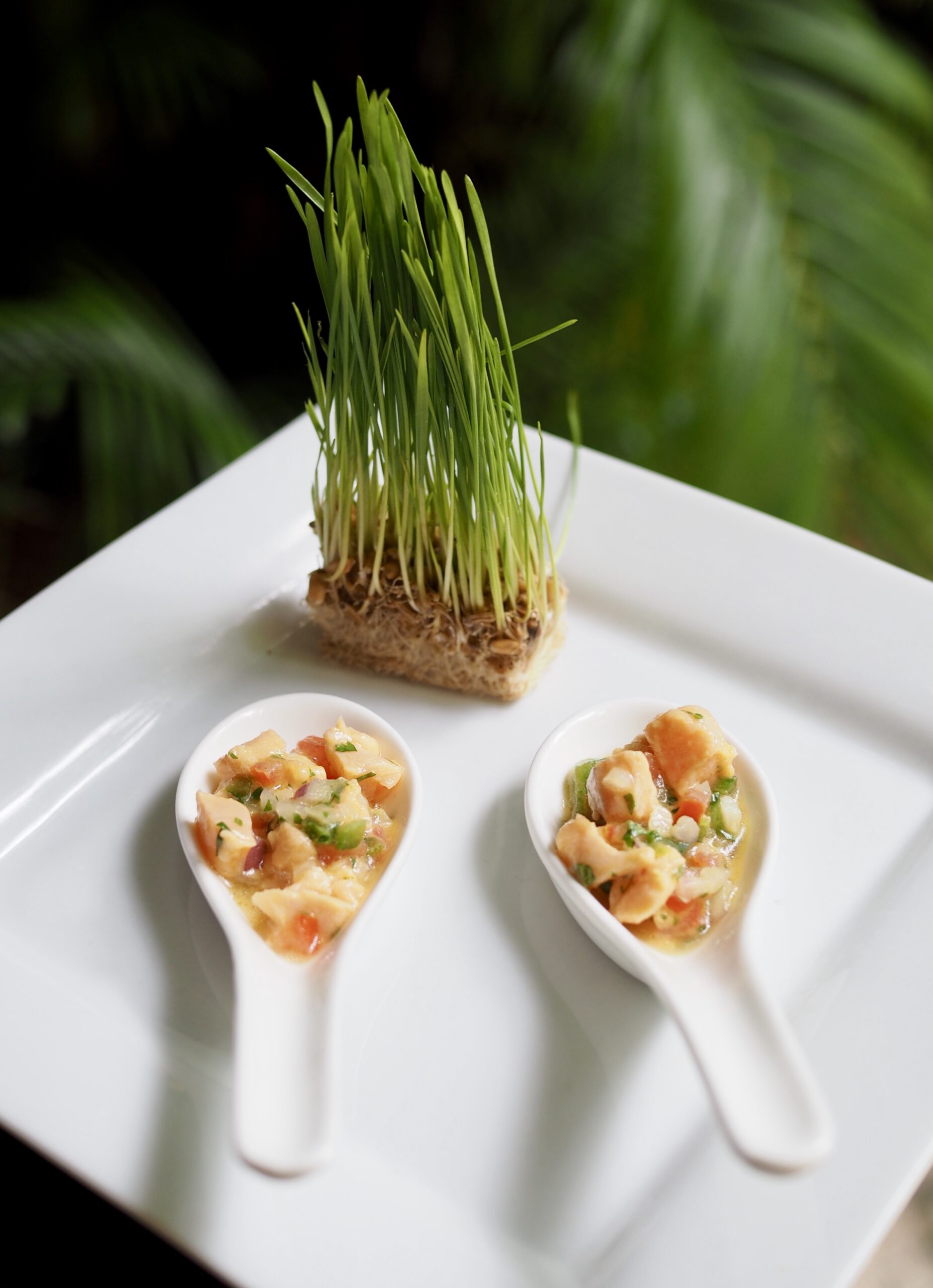 Signature Miami Dish: Ceviche by Bill Hansen Catering